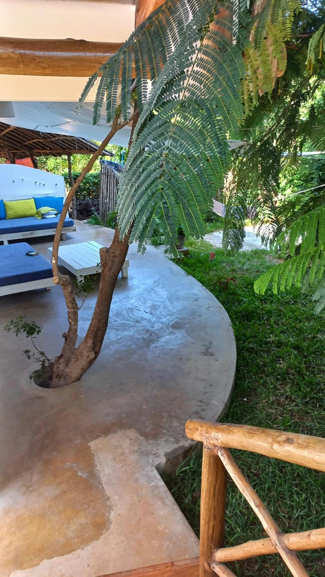 Watamu Beach Cottages B&B Eksteriør billede