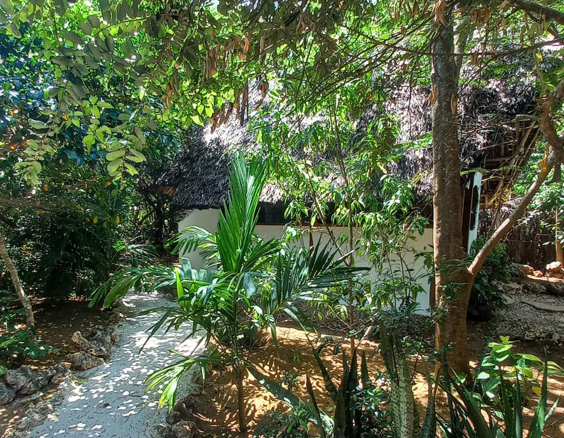 Watamu Beach Cottages B&B Værelse billede